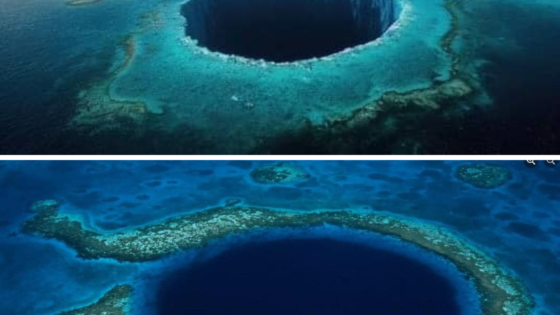 Belize’s Underwater Haven: The Great Blue Hole