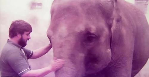 Elephant Reunites with British Zookeeper After 32 Years, Instantly Recognizing Him