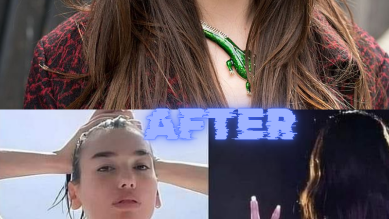 Dua lipa Before and After