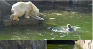 A 32-year-old woman was attacked by a polar bear after she jumped into their enclosure at the Berlin Zoo.